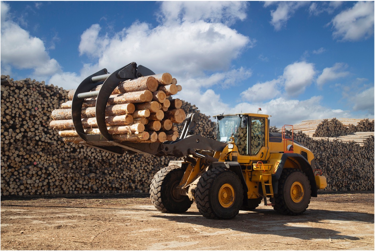 Construction vehicle carries logs