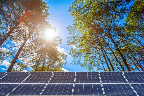 Solar panels under the sun and trees